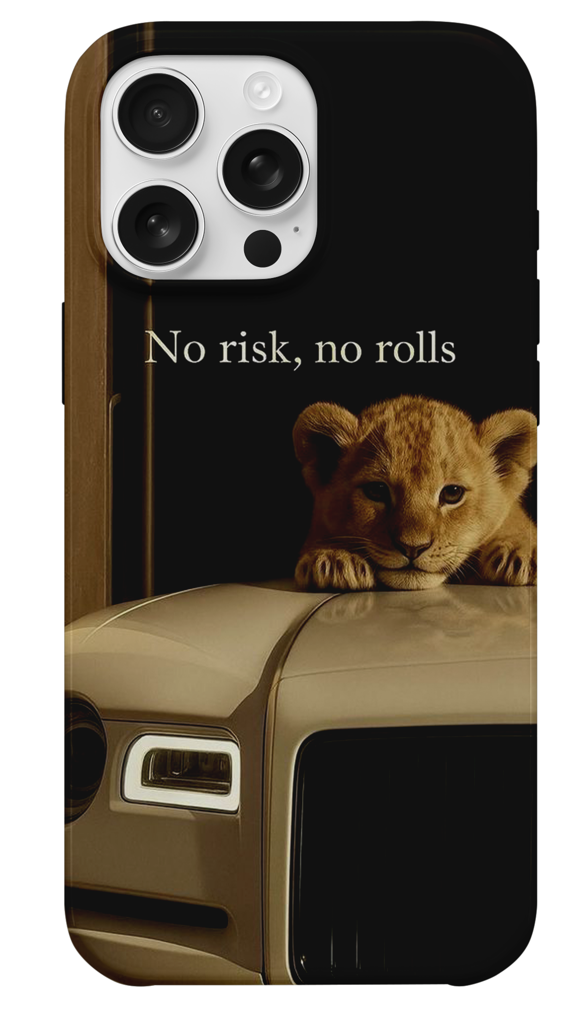 No Risk, No Rolls Telefon Kılıfı