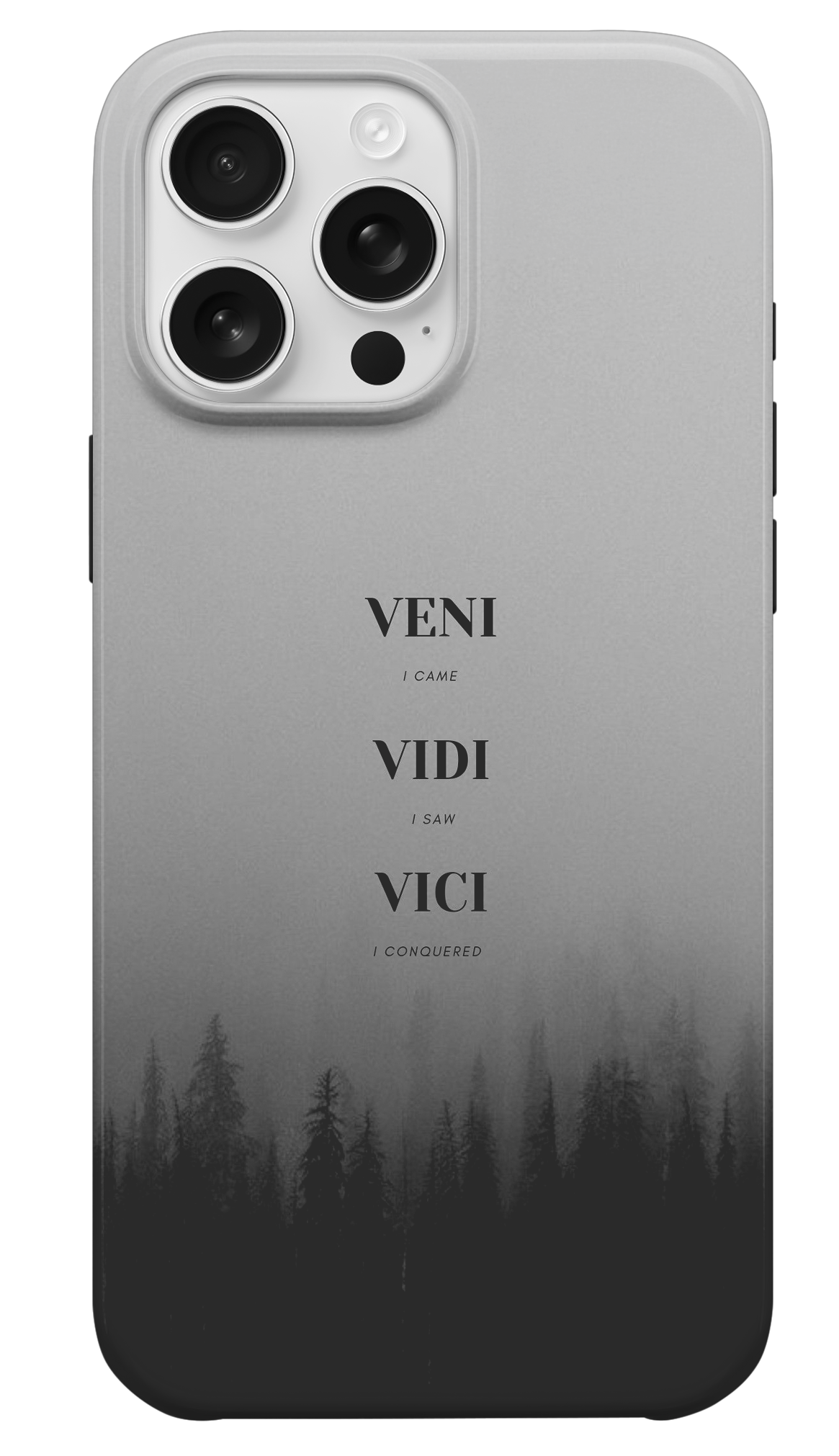 Veni Vidi Vici Telefon Kılıfı