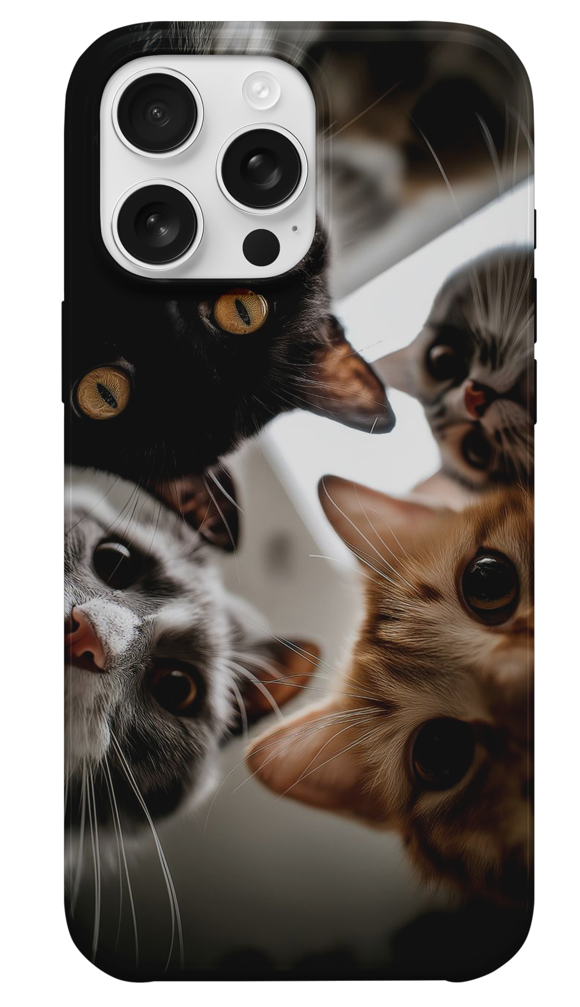 Meraklı Patiler Telefon Kılıfı