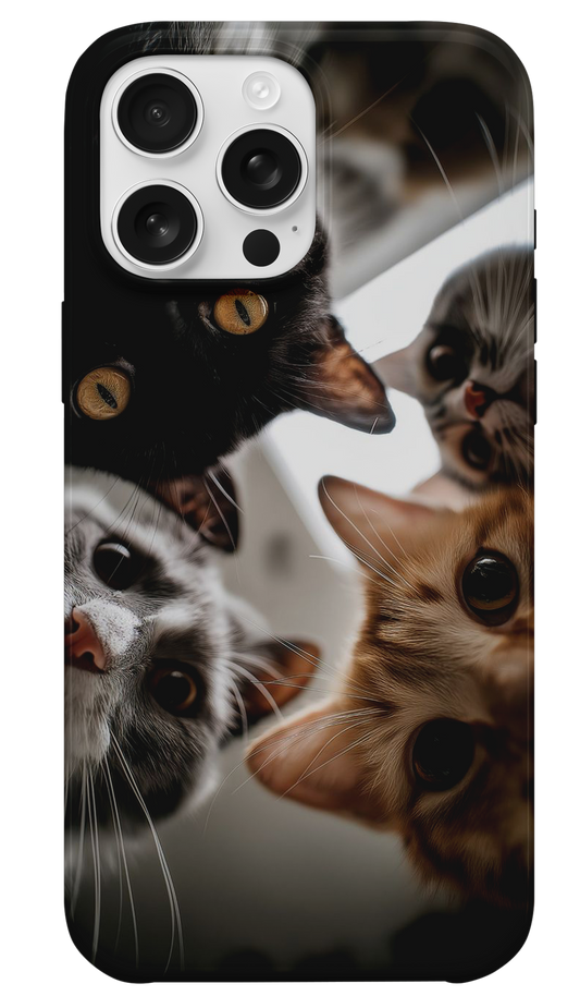Meraklı Patiler Telefon Kılıfı