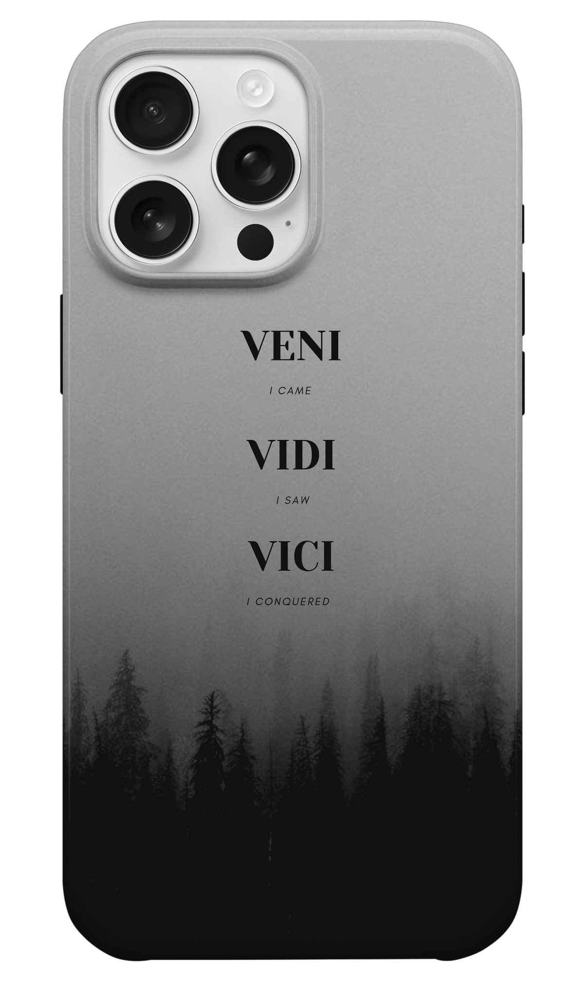 Veni Vidi Vici - Sisli Zafer